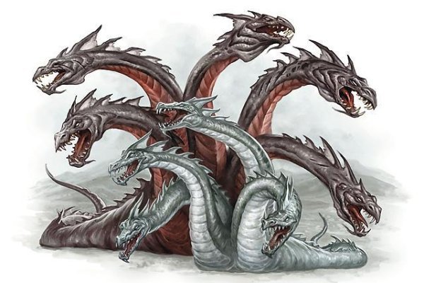 Kraken official